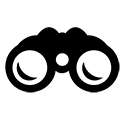 Binoculars icon