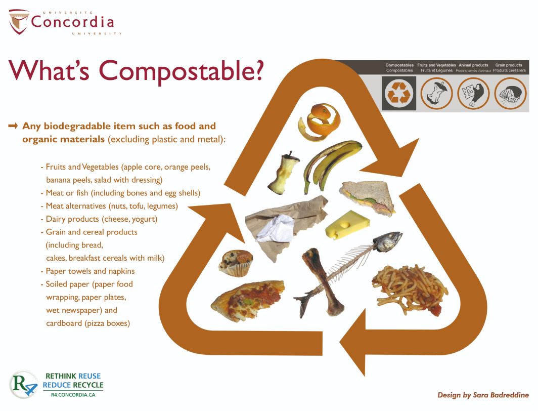 A graphic showing what can generally be composted.